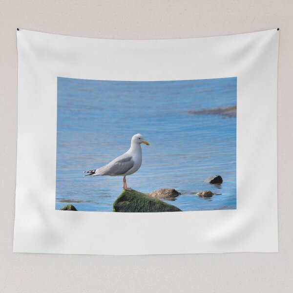 Item preview, Herring Gull Perched on Rocks designed and sold by Dorset Girl.