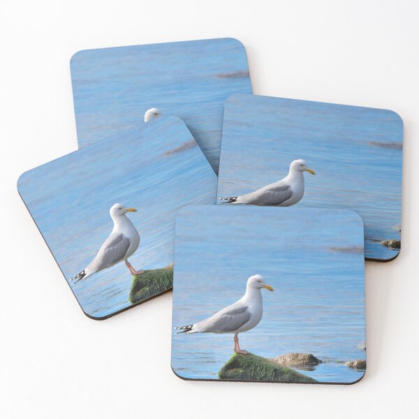 Item preview, Herring Gull Perched on Rocks designed and sold by Dorset Girl.