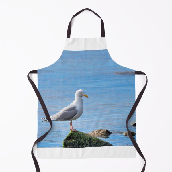 Item preview, Herring Gull Perched on Rocks designed and sold by Dorset Girl.