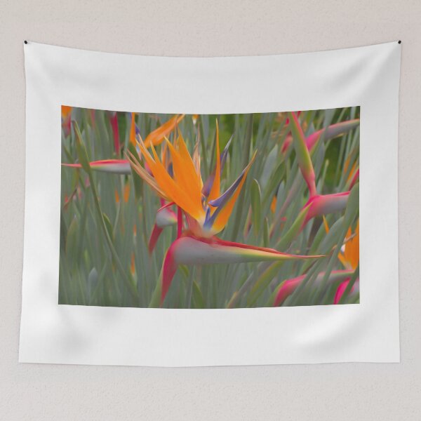 Item preview, "STRELITZIA" Also known as "The Bird of Paradise" designed and sold by JPPhotographix.