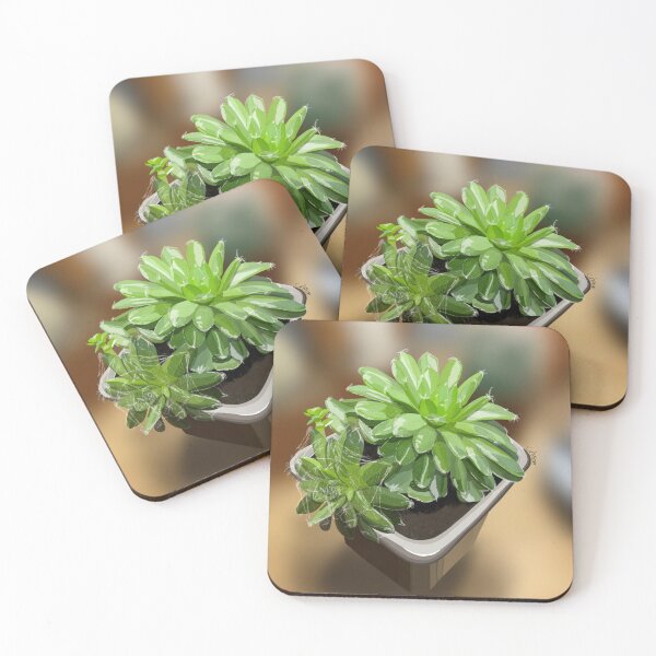 Item preview, Sempervivum  designed and sold by Purplepugprints.