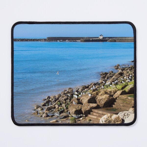 Item preview, Steps Down to the Sea at Lyme Regis designed and sold by Dorset Girl.