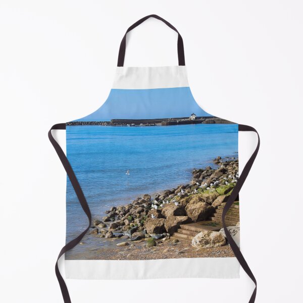 Item preview, Steps Down to the Sea at Lyme Regis designed and sold by Dorset Girl.