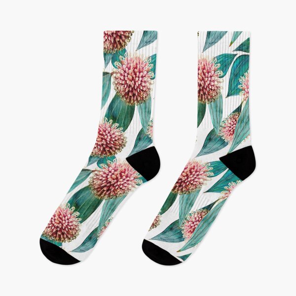 Item preview, Hakea Laurina Pincushion Blooms designed and sold by Sketchbook Designs.