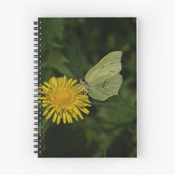 Item preview, Yellow and Brimstone designed and sold by frogs123.