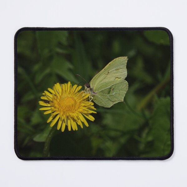 Item preview, Yellow and Brimstone designed and sold by frogs123.