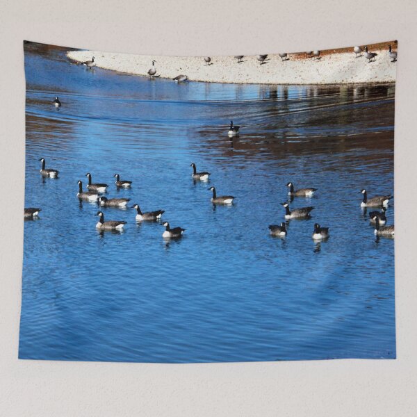 Item preview, A Good Pond to Stop At designed and sold by Scott and Mary Schneider art_photography.