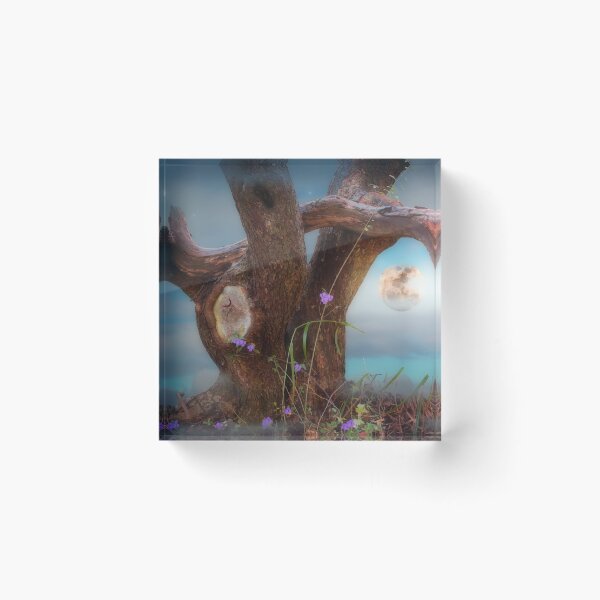 Item preview, Tree In Denial designed and sold by Christine Lake.