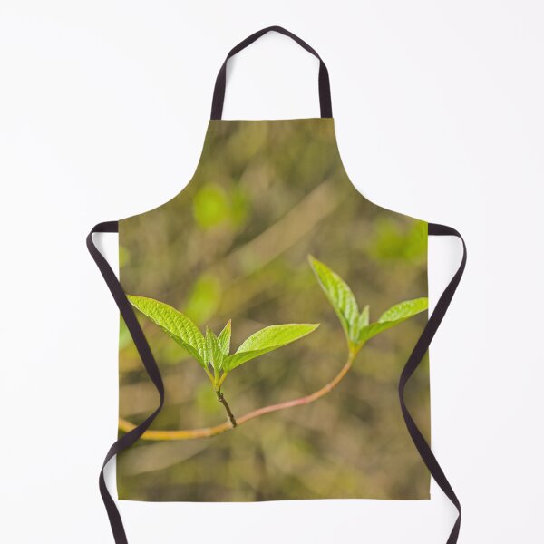 Item preview, Budding leaves of dogwood designed and sold by xophotography.