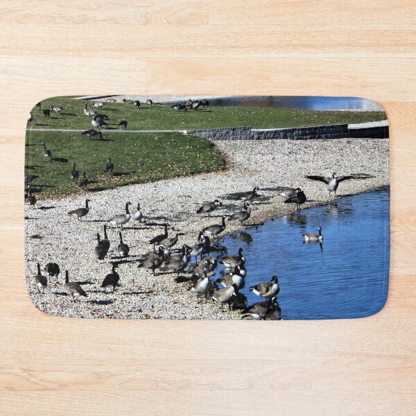 Item preview, Come on in the Water's Fine designed and sold by Scott and Mary Schneider art_photography.