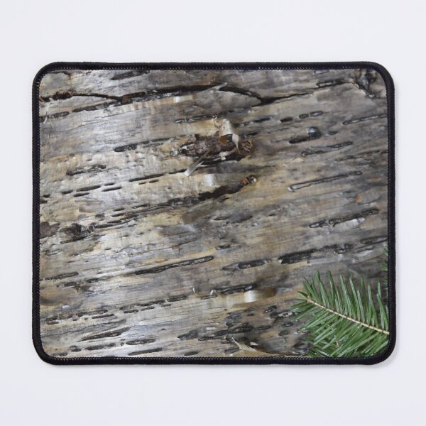 Item preview, A cherry tree in the forest designed and sold by Claude Laprise.