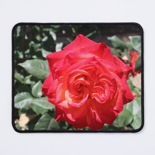 Item preview, Flaming Red Rose designed and sold by BattlefoxxEarth.