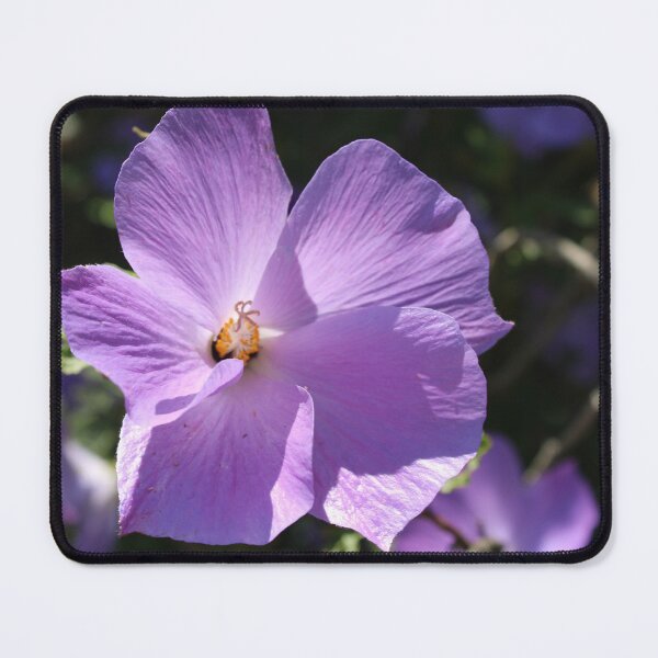 Item preview, Purple Lilac Hibiscus designed and sold by BattlefoxxEarth.