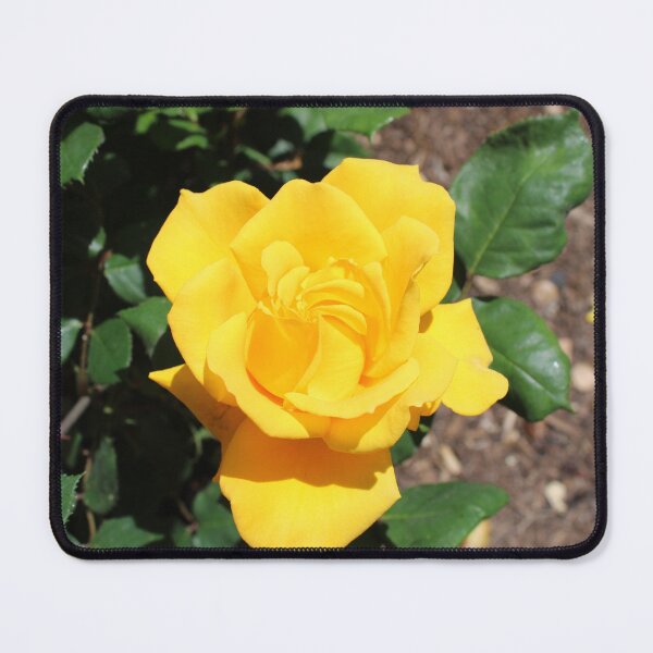 Item preview, Bright Yellow Rose designed and sold by BattlefoxxEarth.
