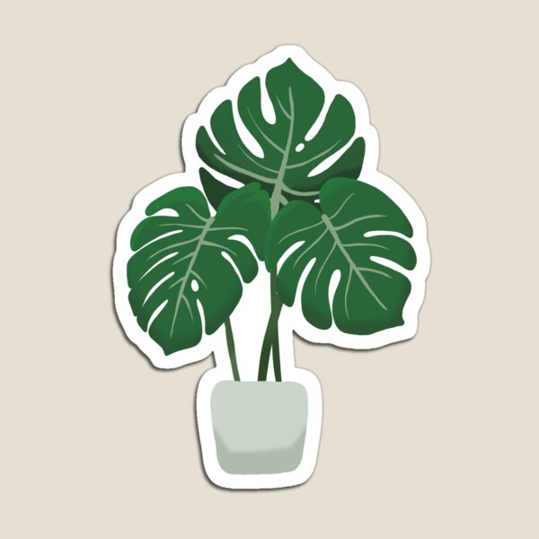 Item preview, Monstera Plant designed and sold by CreativelyTaz.