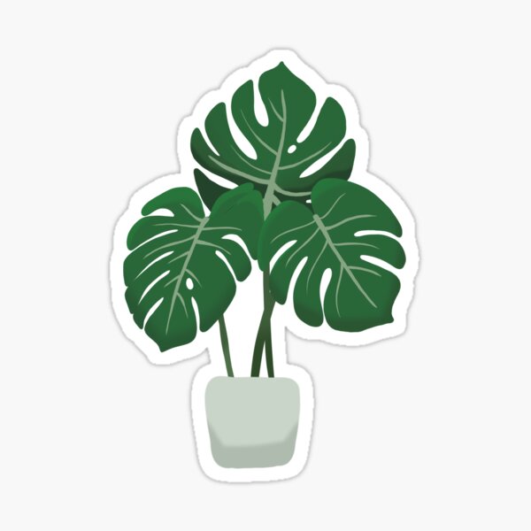Item preview, Monstera Plant designed and sold by CreativelyTaz.