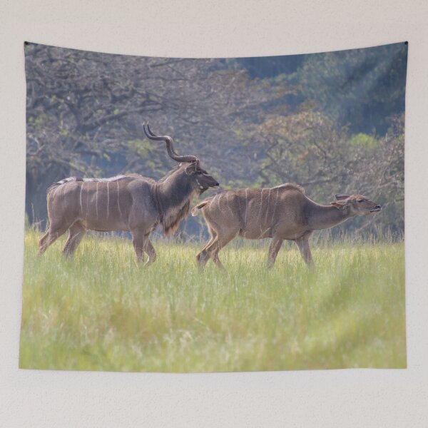 Item preview, Male and Female Kudu Antelope in the Jungle designed and sold by SafariByMarisa.