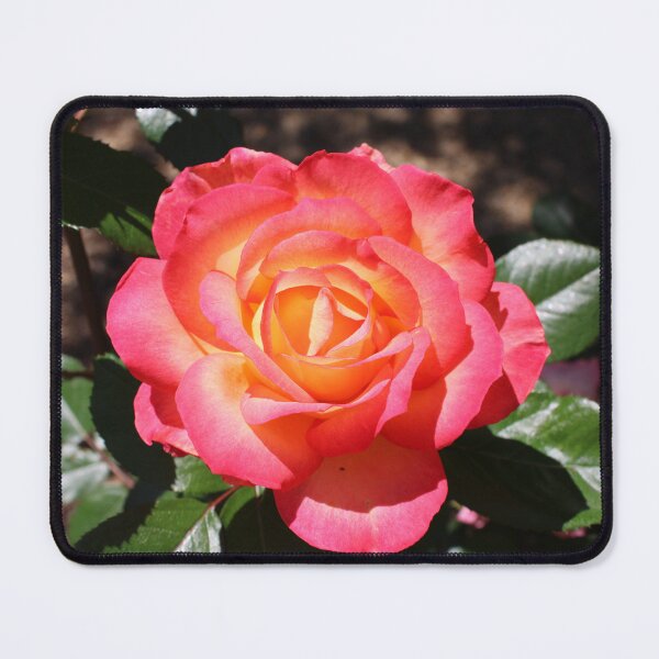 Item preview, Bright Pink Orange Rose designed and sold by BattlefoxxEarth.