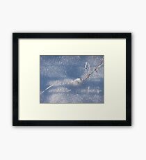 Chrystals as is second chance to beauty Framed Print