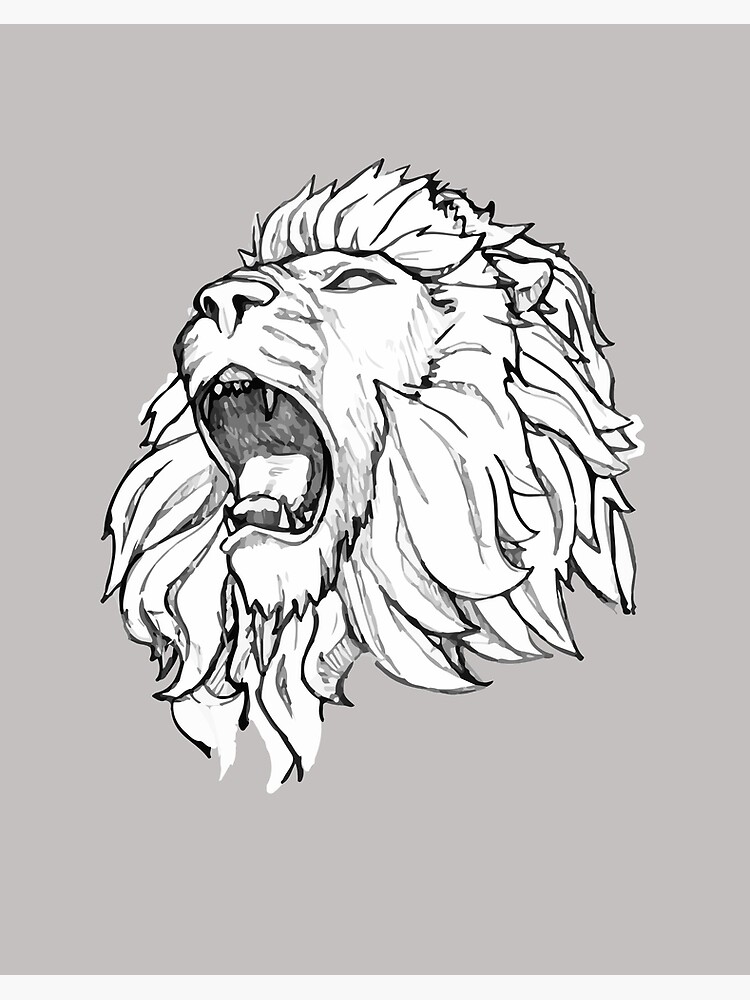 Lion Tiger Felidae Whiskers Sketch, drawing lion, mammal, face, cat Like  Mammal png | PNGWing