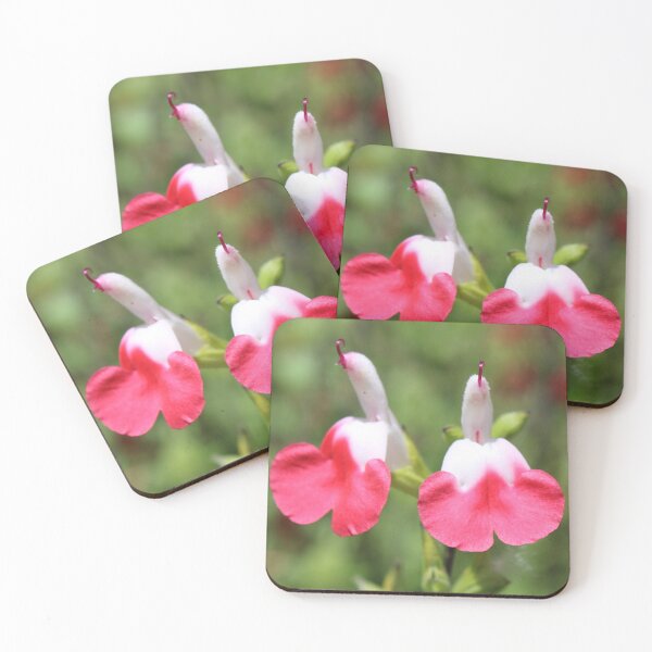 Item preview, Pucker Up! Hot Lips Sage Flowers (Salvia microphylla) designed and sold by BattlefoxxEarth.
