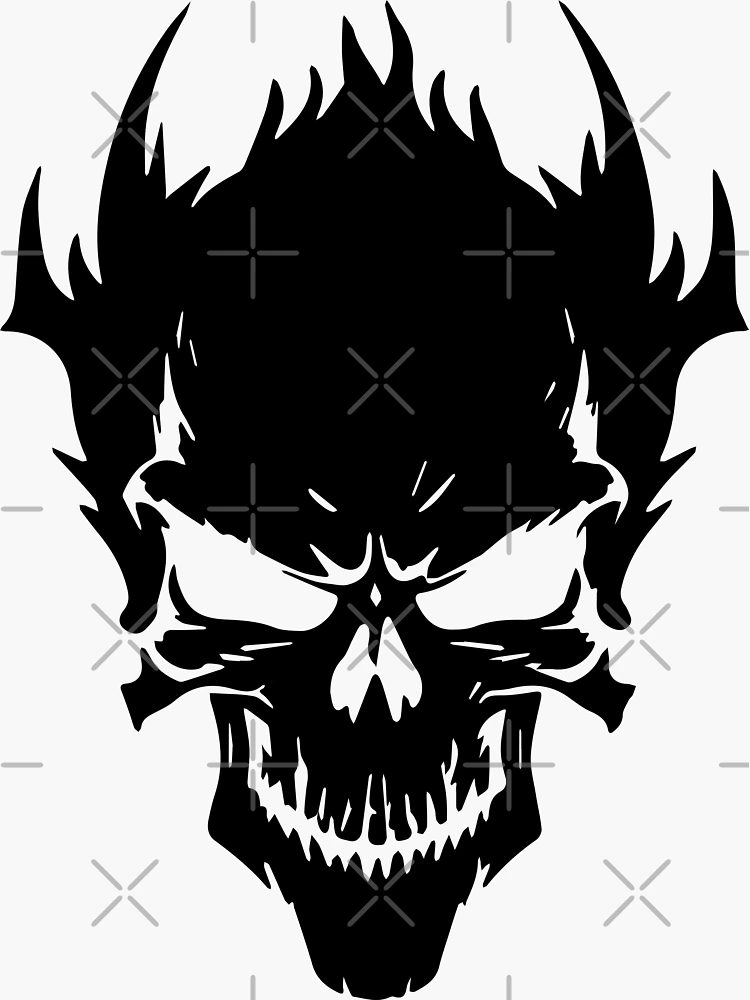 50 Pack Glossy Gothic Vinyl Aesthetic Journal Stickers For Adults Black And  White Skull Design From Harrypopper, $2.44