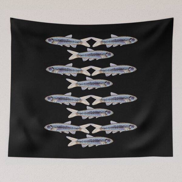 Item preview, Tamaulipas Shiner (Notropis braytoni) Texas Threatened Fish designed and sold by stumpsandee.