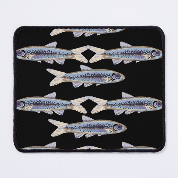 Item preview, Tamaulipas Shiner (Notropis braytoni) Texas Threatened Fish designed and sold by stumpsandee.