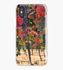 Wine Country Fall Colors Harvest Vineyard Grapes and Vines iPhone Case