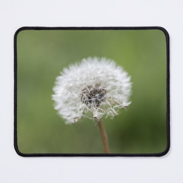 Item preview, A Dandelion Seed Head designed and sold by Tanya C  Smith.