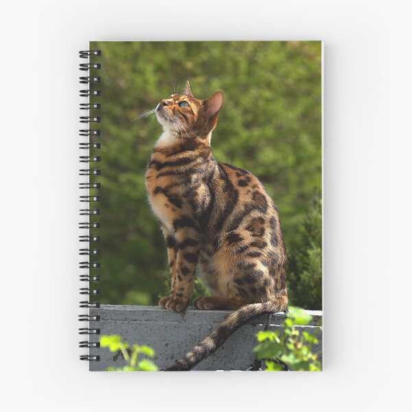 Item preview, Cute Bengal Cat designed and sold by Madcatsanddogs.