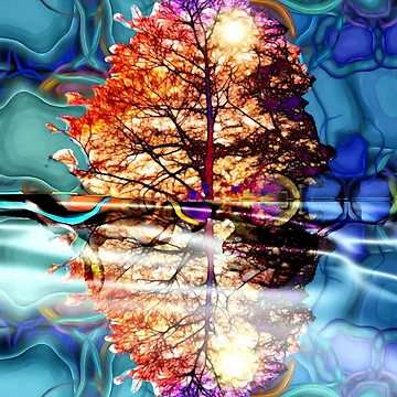 Artwork thumbnail, Colorful Tree by Daniel Janda