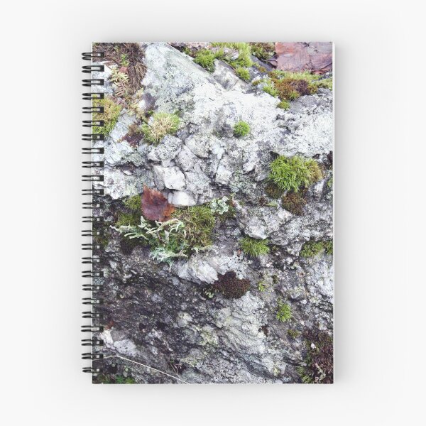 Item preview, Rock And Moss designed and sold by Echotone.