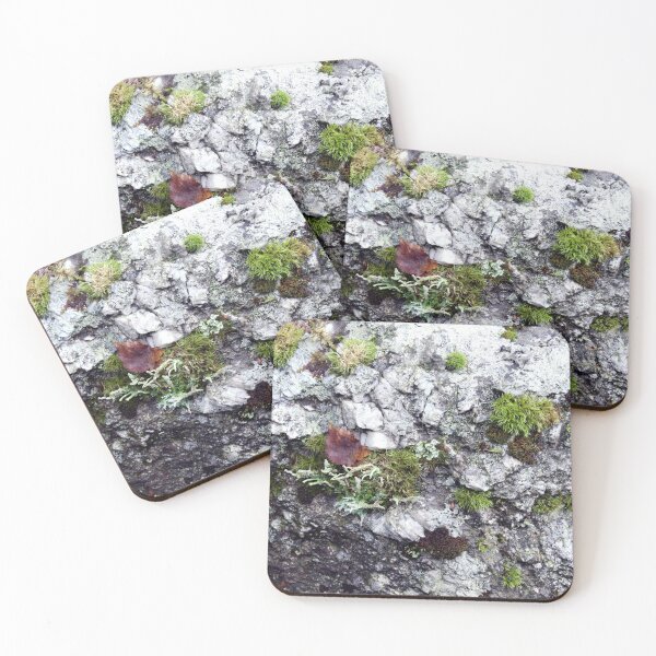 Item preview, Rock And Moss designed and sold by Echotone.