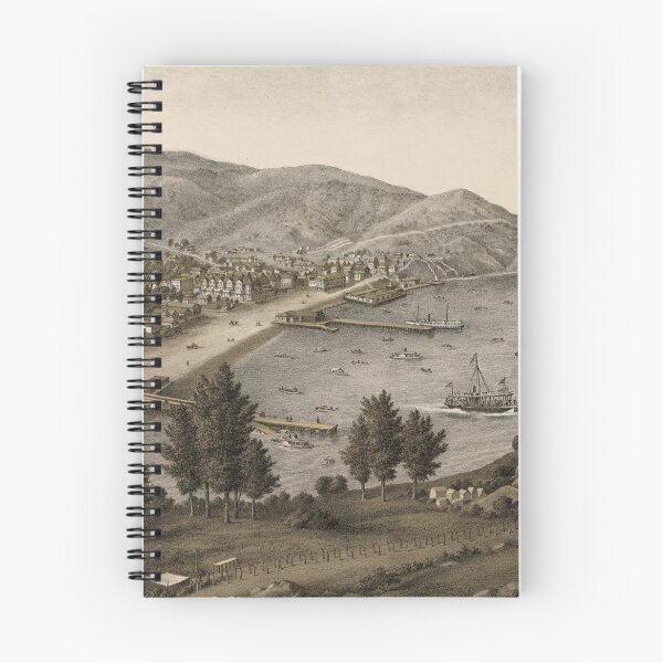 Item preview, Vintage Avalon Santa Catalina Map (1885) designed and sold by BravuraMedia.