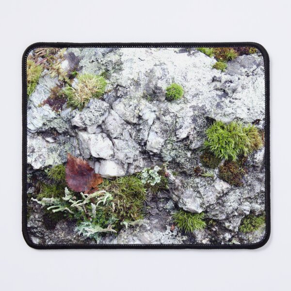 Item preview, Rock And Moss designed and sold by Echotone.