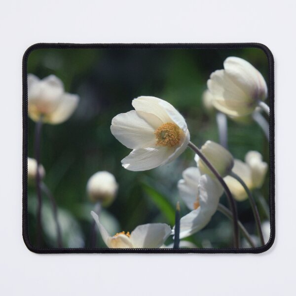 Item preview, White flowers on nature background designed and sold by olena2552.