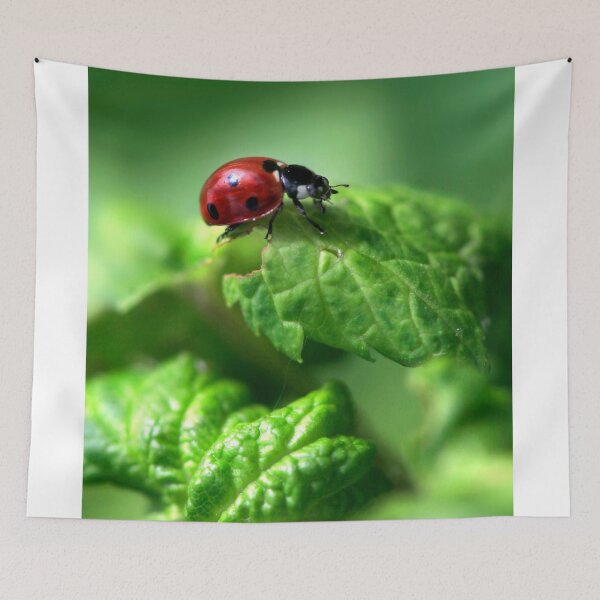 Item preview, Red ladybug sitting on plant designed and sold by olena2552.