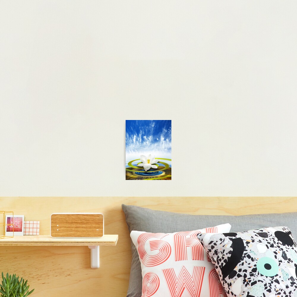 Item preview, Photographic Print designed and sold by glendoll.