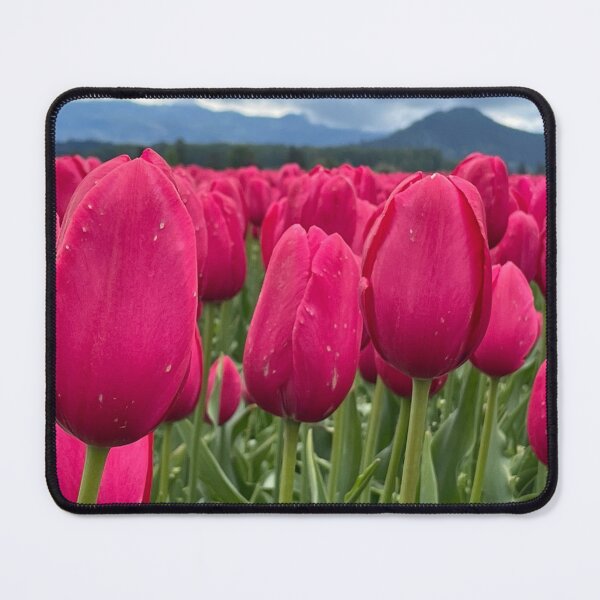 Item preview, Mt Vernon, Washington Tulips and Mountain designed and sold by jenesaiscluck.