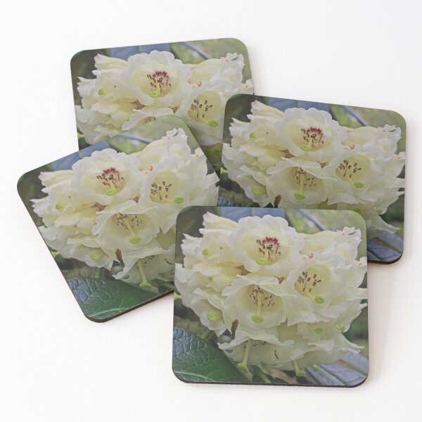 Item preview, Smooth & Creamy, May 2023 designed and sold by RedHillDigital.