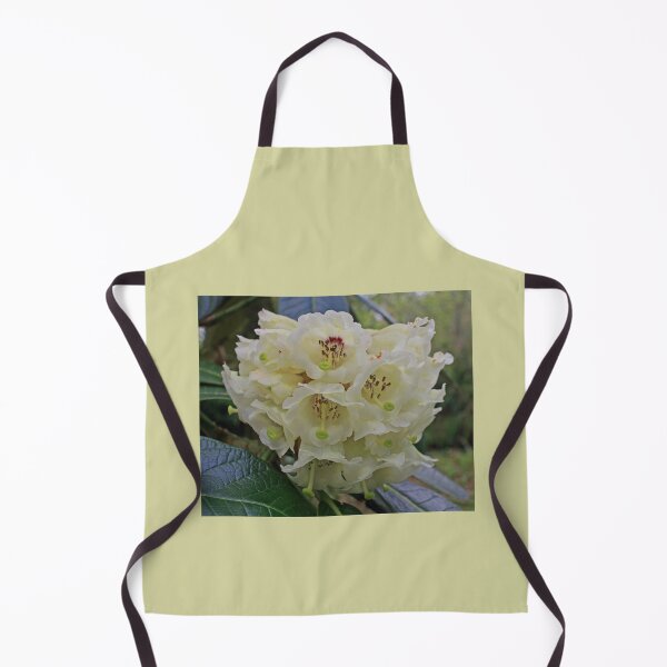 Item preview, Smooth & Creamy, May 2023 designed and sold by RedHillDigital.