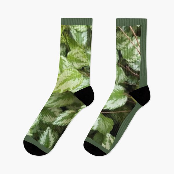 Item preview, Leafy Delight designed and sold by FunHouse6465.