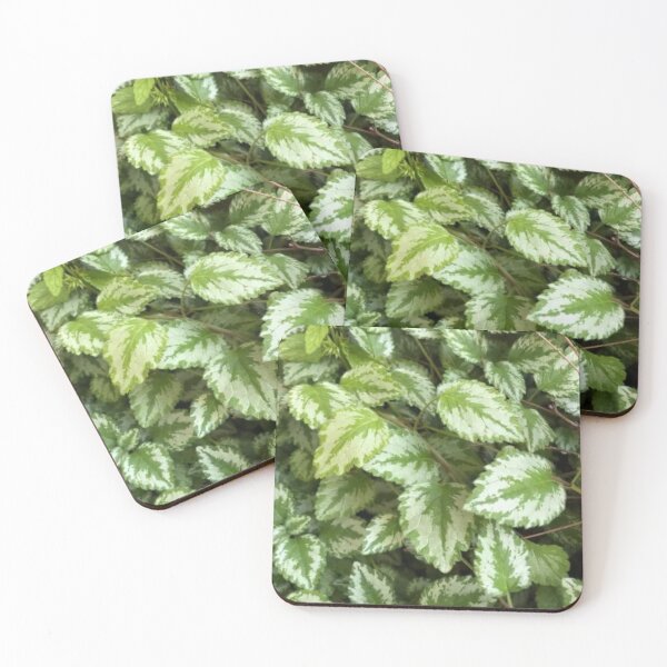 Item preview, Leafy Delight designed and sold by FunHouse6465.