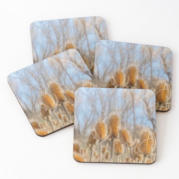 Item preview, Dry Prickly Burdock Weeds and Blue Sky designed and sold by SafariByMarisa.