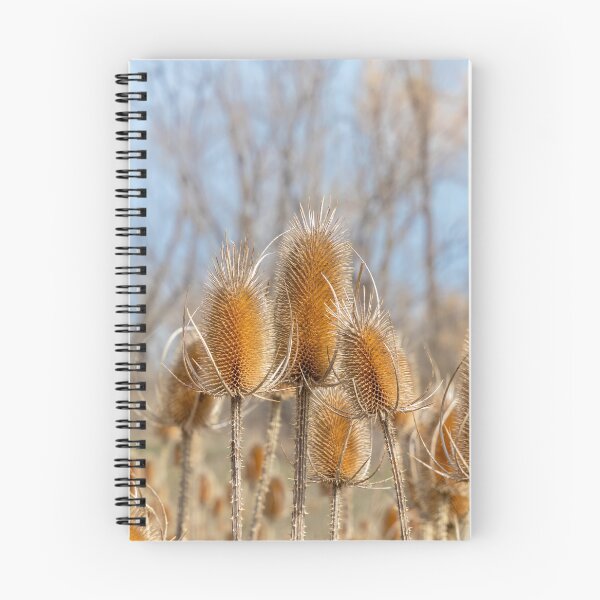 Item preview, Dry Prickly Burdock Weeds and Blue Sky designed and sold by SafariByMarisa.