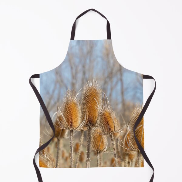 Item preview, Dry Prickly Burdock Weeds and Blue Sky designed and sold by SafariByMarisa.