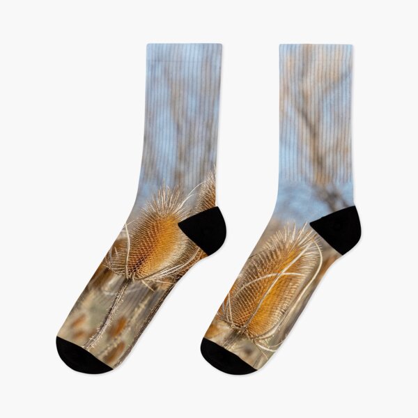 Item preview, Dry Prickly Burdock Weeds and Blue Sky designed and sold by SafariByMarisa.