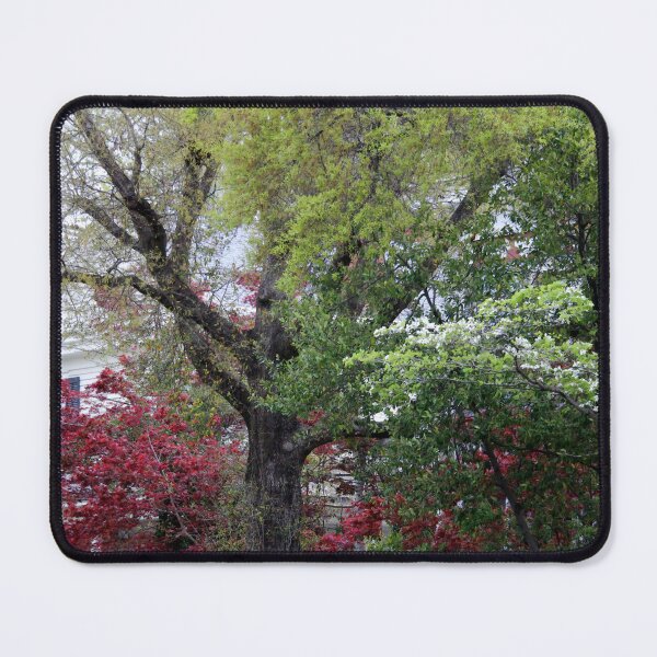 Item preview, Blooming Trees designed and sold by Cynthia48.