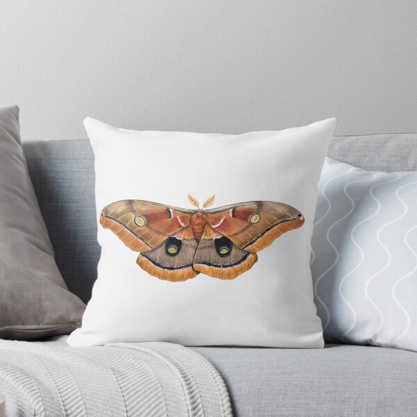 Item preview, Polyphemus Moth (Antheraea polyphemus) II designed and sold by JadaFitch.